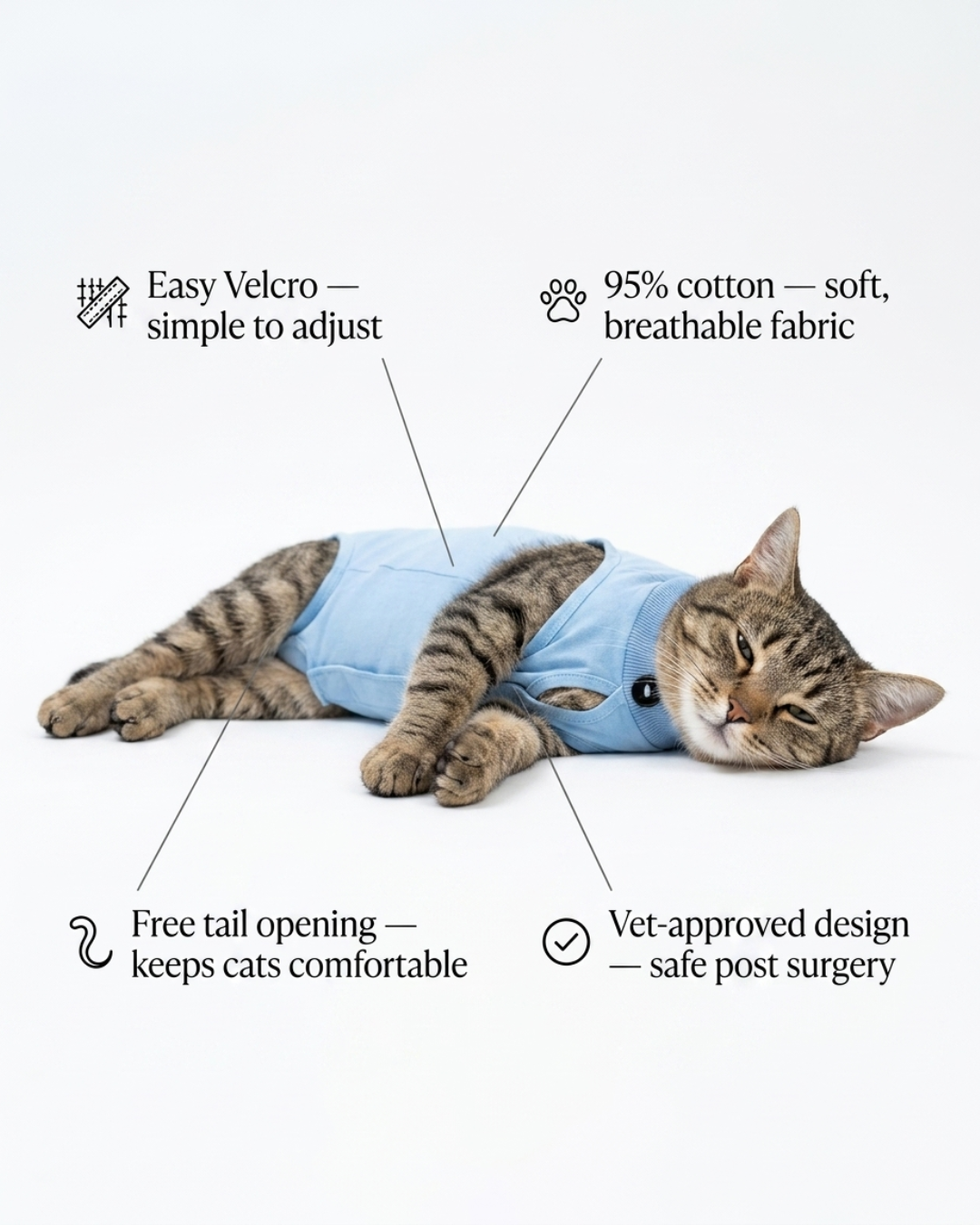 Sky Blue Ease – Post-Surgery Bodysuit for Cats (Soft cotton, breathable fabric)
