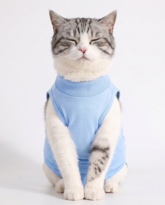 Sky Blue Cat Recovery Suit