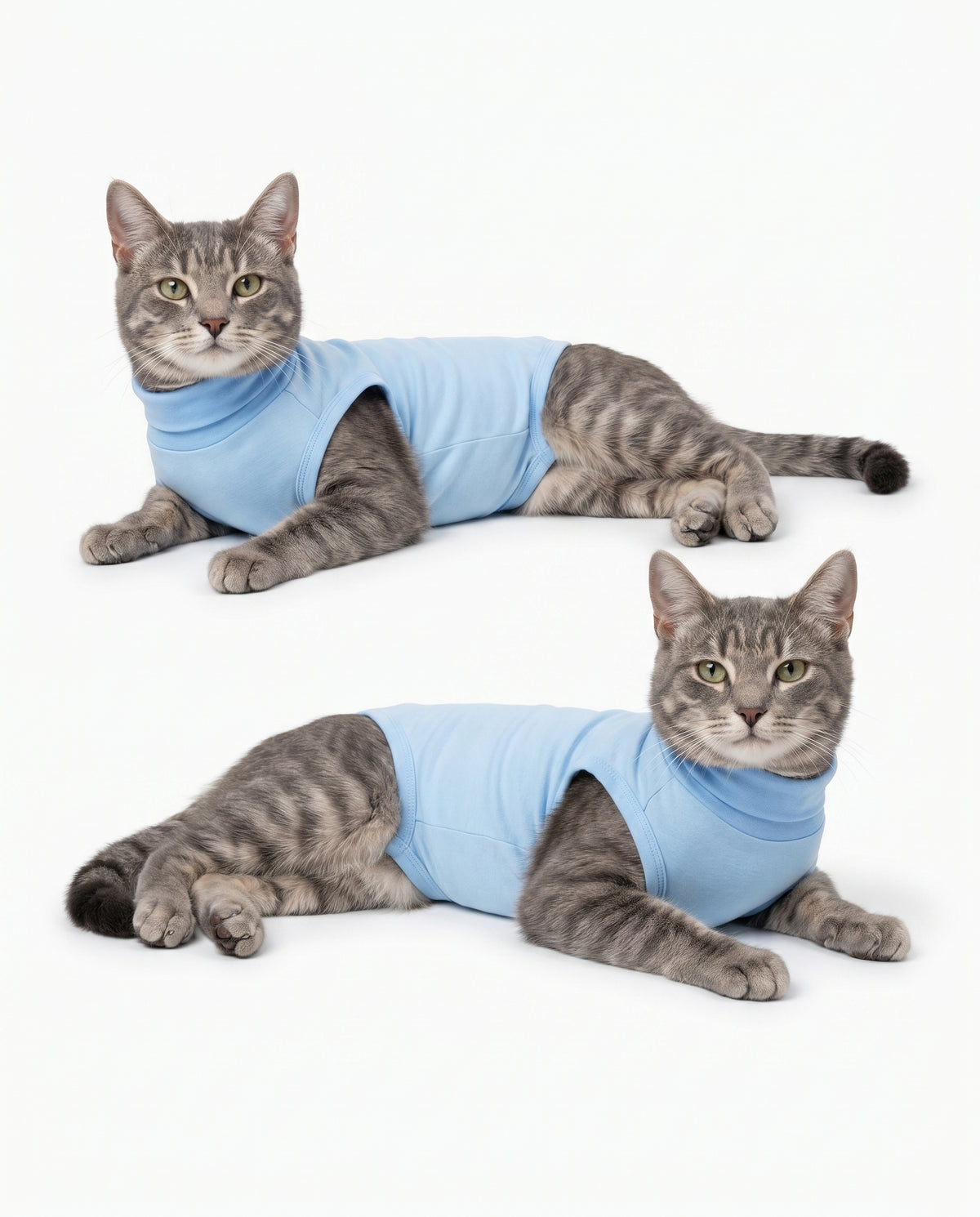 Sky Blue Cat Recovery Suit