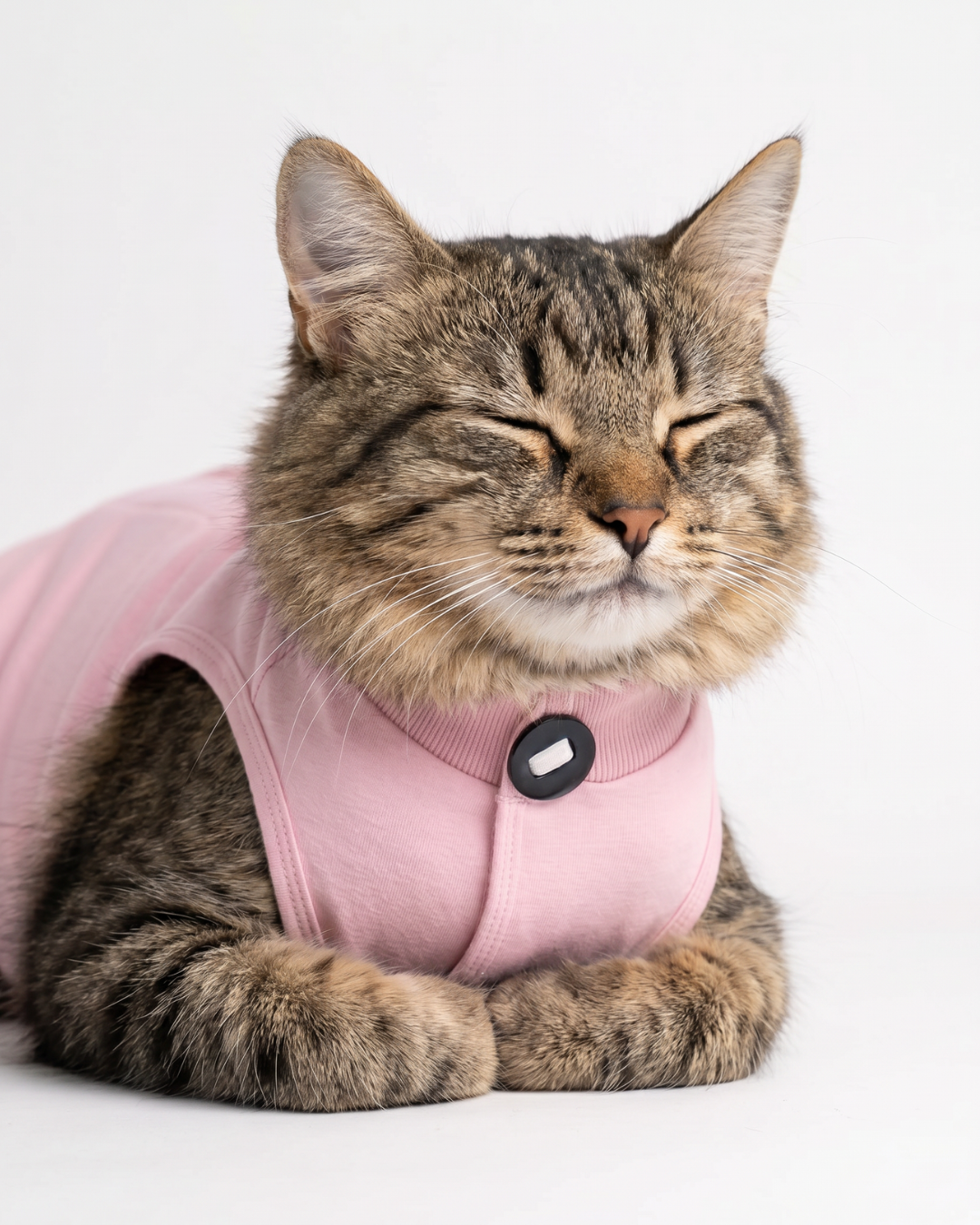Blush Recovery – Post-Surgery Bodysuit for Cats (Soft cotton, breathable fabric)