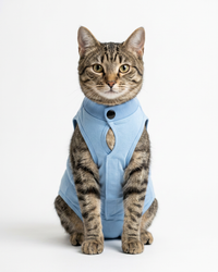 Sky Blue Ease – Post-Surgery Bodysuit for Cats (Soft cotton, breathable fabric)