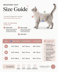 Lavender Cat Recovery Suits – Post-Surgery Bodysuit for Cats (Soft cotton, breathable fabric)