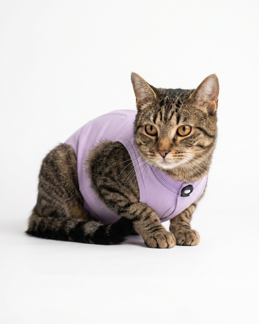 Lavender Cat Recovery Suits – Post-Surgery Bodysuit for Cats (Soft cotton, breathable fabric)