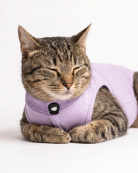 Lavender Cat Recovery Suits – Post-Surgery Bodysuit for Cats (Soft cotton, breathable fabric)