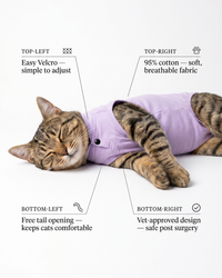 Lavender Cat Recovery Suits – Post-Surgery Bodysuit for Cats (Soft cotton, breathable fabric)