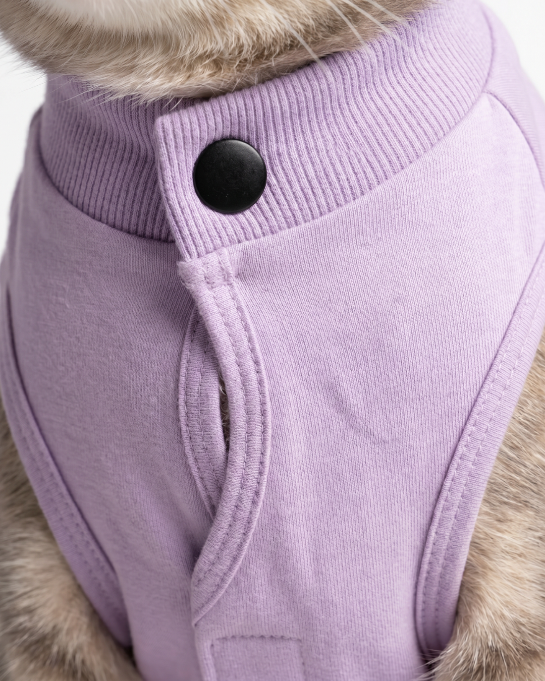 Lavender Cat Recovery Suits – Post-Surgery Bodysuit for Cats (Soft cotton, breathable fabric)