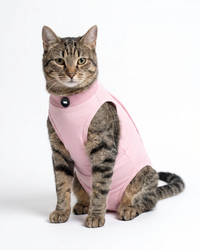 Blush Recovery – Post-Surgery Bodysuit for Cats (Soft cotton, breathable fabric)