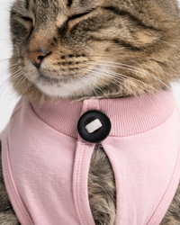 Blush Recovery – Post-Surgery Bodysuit for Cats (Soft cotton, breathable fabric)