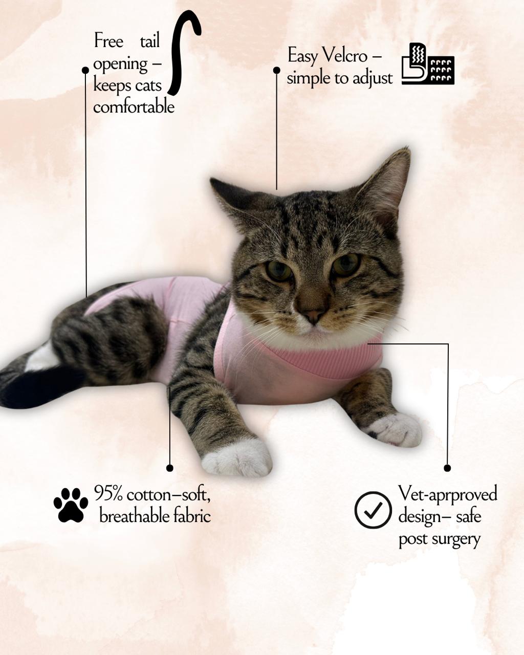 Blush Recovery – Post-Surgery Bodysuit for Cats (Soft cotton, breathable fabric)