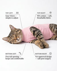 Blush Cat Recovery Suit