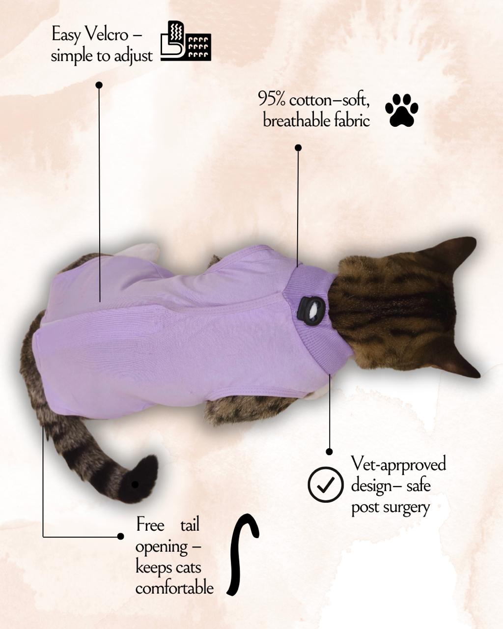 Lavender Cat Recovery Suits – Post-Surgery Bodysuit for Cats (Soft cotton, breathable fabric)