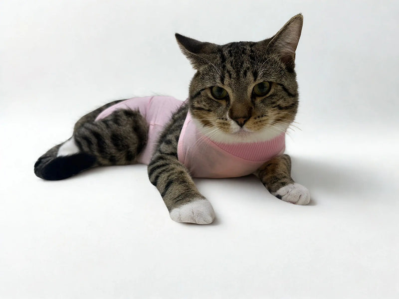 Our story - founders with cats