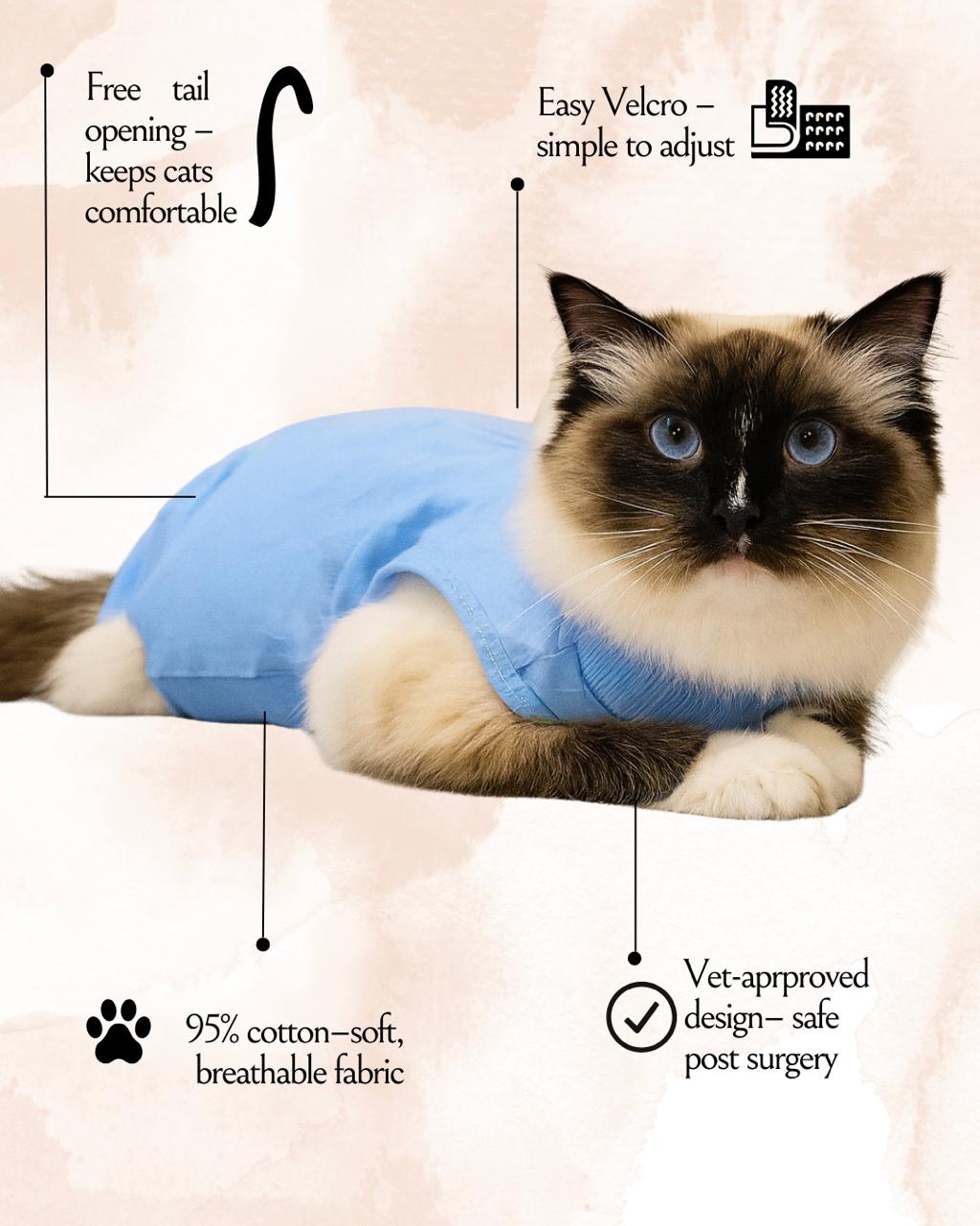 Sky Blue Ease – Post-Surgery Bodysuit for Cats (Soft cotton, breathable fabric)