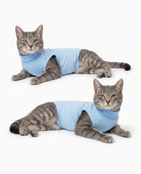 Sky Blue Cat Recovery Suit