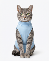 Sky Blue Cat Recovery Suit