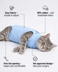 Sky Blue Cat Recovery Suit
