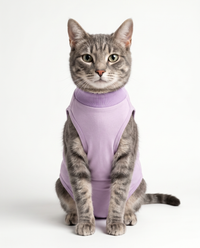 Lavander Cat Recovery Suit